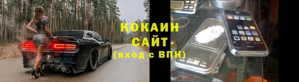 прущие грибы Алзамай