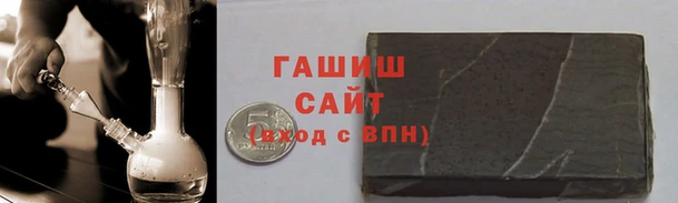 прущие грибы Алзамай