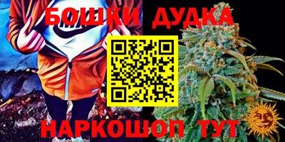 кокс Ставрополь