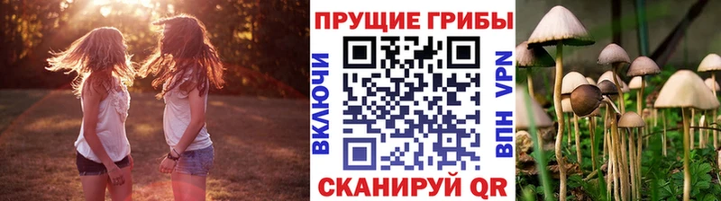 Галлюциногенные грибы прущие грибы купить закладку Троицк