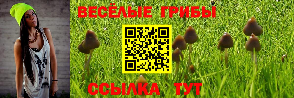 ГАШ Троицк